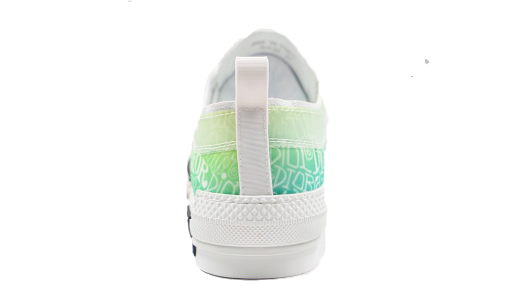 Dior B23 Low-Top White and Green Dior With Shawn Motif